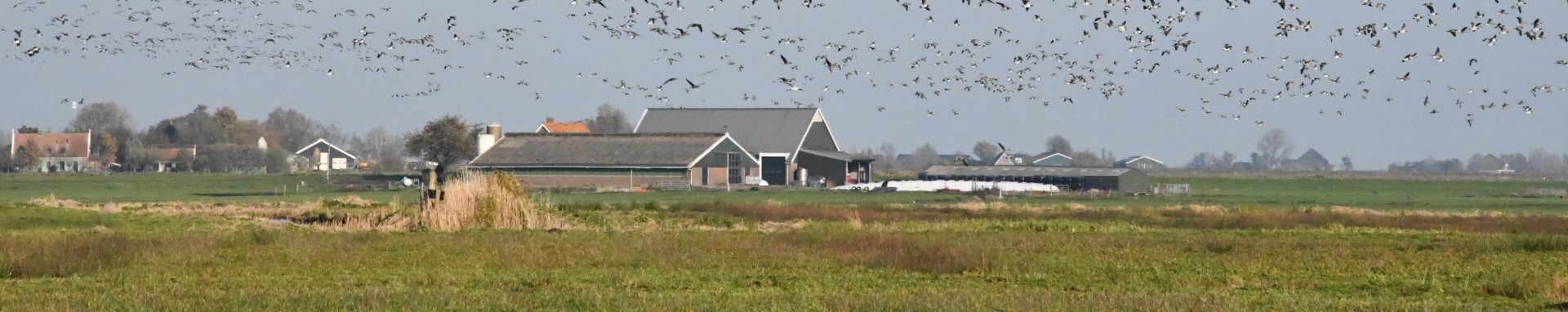 /bestanden/afbeeldingen/Verkeer_Vervoer/Header N247 Bereikbaarheid Waterland.jpg